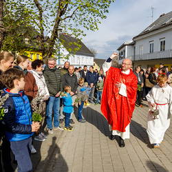 Palmsegnung